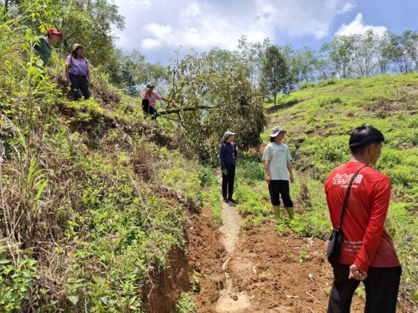 ยะลา เกษตรอำเภอเบตงลงพื้นที่ตรวจสอบ สวนทุเรียนช้างป่าบุกทำลาย