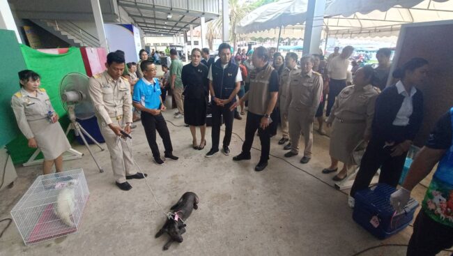 ประจวบคีรีขันธ์ _สส.เขต 3 ประจวบฯ ร่วมกับ กรมปศุสัตว์ รณรงค์ ทำหมันหมา แมว เพื่อป้องกันโรคพิษสุนัขบ้า ในพื้นที่ประจวบฯ เขต 3 พุ่งเป้า 1,000 ตัว ช่วยลดค่าใช้จ่ายให้พี่น้องประชาชน