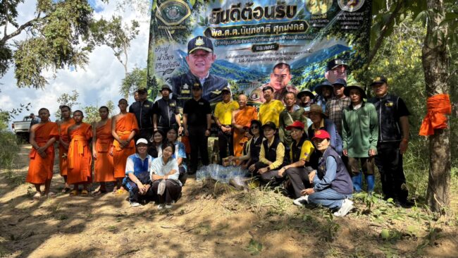 จังหวัดเชียงใหม่ ยุทธการพิทักษ์ป่าไชยปราการลื้อถอนไร่ขิง 258ไร่